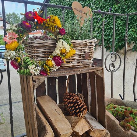 Pension Im Wiesengrund Steinau Marborn Steinau an der Straße Екстериор снимка